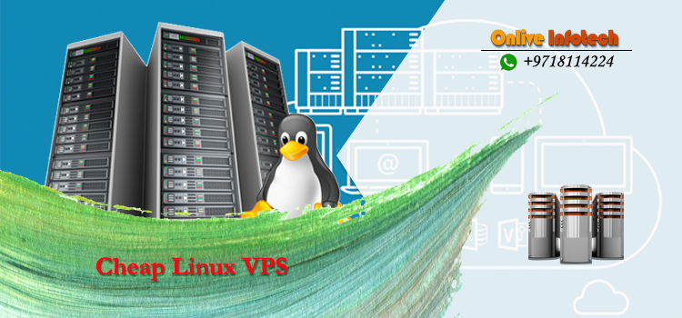 Cheap Linux VPS Hosting with our Affordable Plans – Onlive Infotech